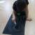 received_1818959271582079