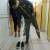 received_558147571416598