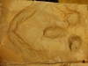 dscf0855