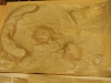 dscf0861