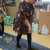 IMG-20200204-WA0013