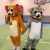 IMG-20240202-WA0018
