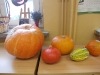 DSCN2628