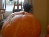 DSCN2629