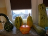 DSCN2630