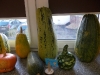 DSCN2631