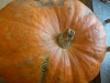 DSCN2632