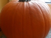DSCN2633