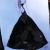 dav