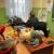 IMG-20191213-WA0014