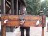 SAM_6220