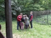 sam_4031