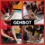 Genibot