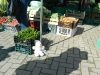 DSCN3901