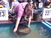 IMG-20170526-WA0054