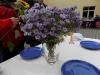 DSCN1500