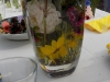 DSCN1521