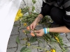 DSCN1528