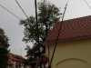 DSCN1554