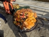 DSCN1575