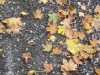 20171019_102048