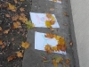 20171019_102828