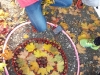 20171019_105558