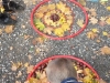 20171019_105942