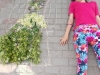 DSCN2089