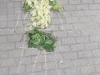 DSCN2095