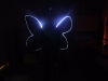 DSCF3461