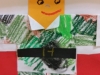 IMAG0556