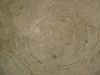 DSC06835