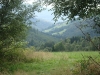 DSC07153