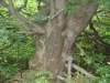 DSC07160