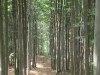 DSC07270