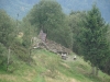 DSC07421