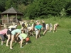 SAM_5298