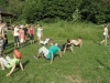 SAM_5319