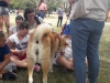 20180609_125407