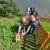 Klasa-pp-land-art-1