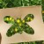 Motyl-art