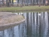 DSCN5516