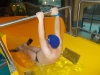 DSCN5577