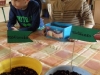 SAM_7922
