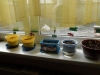 SAM_7923