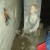 IMG_20191217_103455