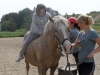 SAM_0363