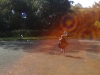 20170929_114849