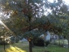 20171001_173527